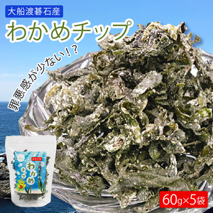 わかめチップ 60g×5袋 大船渡碁石産 小分け 若芽 海藻 三陸産 岩手県 大船渡市