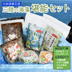 三陸の海藻 堪能セット 6種 ( わかめチップ こんぶチップ 元茎わかめ佃煮 元茎わかめスライス佃煮 茎わかめのキムチ和え きざみめかぶ ) 小分け メカブ 海藻 三陸産 岩手県 大船渡市