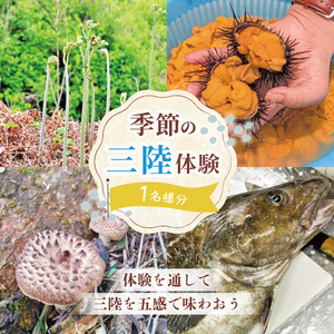 季節の三陸体験 体験チケット (1名様分/1) 三陸アクティブ 大船渡 大船渡市 チケット 夏休み 冬休み 春休み うに ウニ 山菜 山菜取り キノコ きのこ きのこ狩り キノコ狩り 鱈 たら タラ 季節 自然 旬