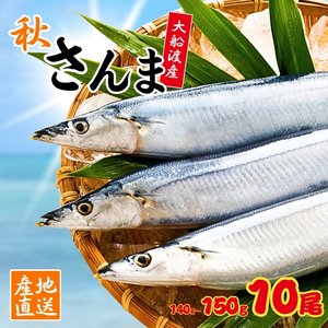 期間限定 さんま 10本 140g~150g ＼ さんま /