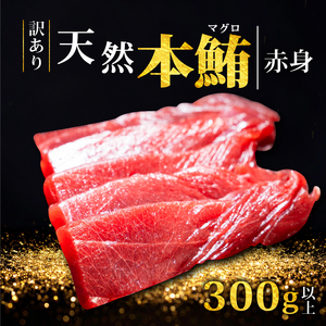[スピード発送] 訳あり 天然本まぐろ 赤身300g以上 まぐろ