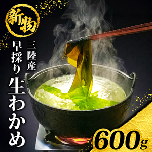 先行予約 早採り生わかめ 600g(200g×3) わかめ