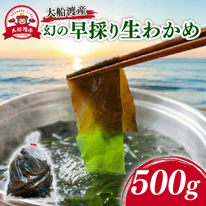 [1〜2月限定]早採り生わかめ 500g わかめ
