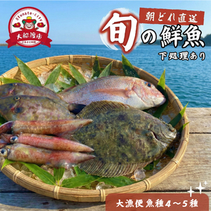 下処理あり 朝獲れ 鮮魚ボックス 大漁便4〜5種 鮮魚