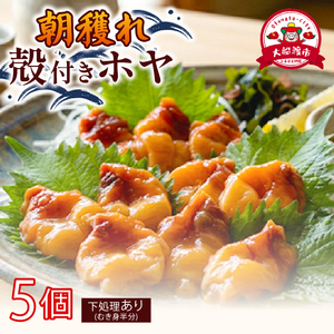 大船渡産 冷蔵 活 ホヤ 5個 [下処理あり] 産地直送