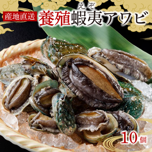 三陸産 産地直送 "活" 蝦夷あわび 10ヶ(養殖) (鮑 刺身 ステーキ エゾアワビ 海鮮 大船渡市 岩手県 あわび エゾ 冷凍アワビ 小分け アワビ 刺身 岩手県 活 )