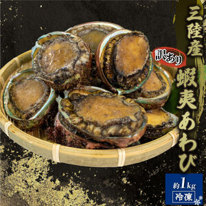 訳あり エゾアワビ 約1kg 冷凍 鮑 蝦夷あわび あわび アワビ 鮑 Abalone ステーキ バターソテー 正月 お正月 おせち 刺し身 刺身 バーベキュー BBQ ごはん 夕飯 おかず おつまみ 晩酌 米 丼 海産物 海鮮 魚介 魚介類 贈答品 お中元 お歳暮 大船渡 三陸 岩手県 国産