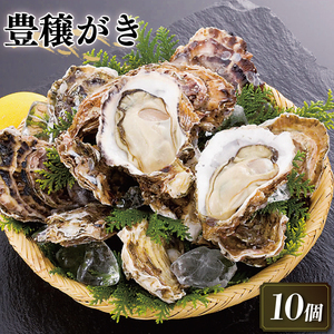 豊穣かき 10個 生食用 冷凍 かき 牡蠣 カキ オイスター oyster アヒージョ バーベキュー BBQ フライ 揚げ物 鍋 ごはん 夕飯 おかず おつまみ 晩酌 米 丼 海産物 海鮮 魚介 魚介類 贈答品 お中元 大船渡 三陸 岩手県 国産