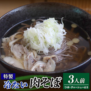 特製 冷たい肉そば (3食分) そば 鶏だし 麺 鶏 だし 出汁 スープ そばつゆ付き 肉 鶏チャーシュー 特製スープ 冷凍 岩手県 大船渡市