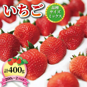 いちご 2種 400g (200g×2) 6?12月お届け 苺 果物 くだもの フルーツ おやつ ストロベリー strawberry 岩手県 大船渡市