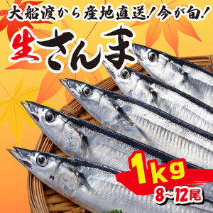 さんま 1kg 8尾?12尾 冷蔵 鮮秋刀魚 発送期日 2024年9月?2024年11月下旬 三陸 岩手 大船渡市 サンマ 秋刀魚 生