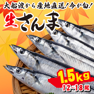 さんま 約1.5kg 12尾〜18尾 冷蔵 [発送:2025年9月〜2025年11月下旬] 鮮秋刀魚 期間限定三陸 岩手 大船渡市
