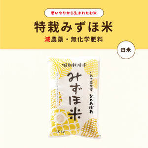 特別栽培みずほ米 ひとめぼれ 白米 10kg [1751]