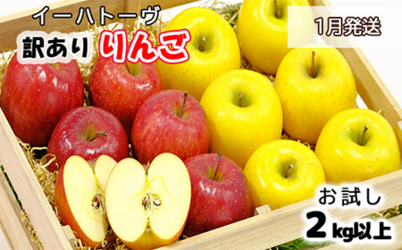 イーハトーヴ 訳あり りんご お試し (2kg以上)セット[1月より発送予定/予約受付] [005-1]