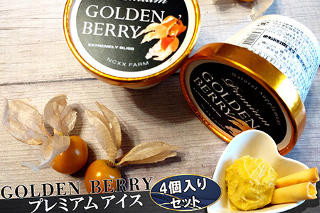 ゴールデンベリープレミアムアイス 4個入りセット [1938]