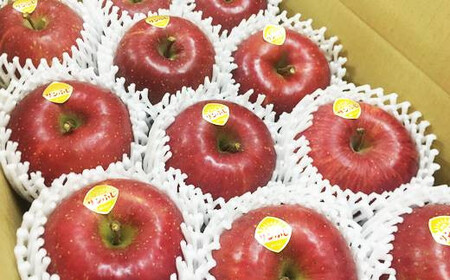 ypz ʏ`Ղ薨 Tӂ 5kg ĉԊ y810z