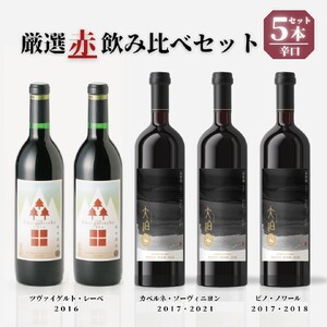 [数量限定]「早池峰の恵み」モリタワイン ダム貯蔵熟成 「赤」 年代別飲み比べコンプリートセット 5本セット [2200]