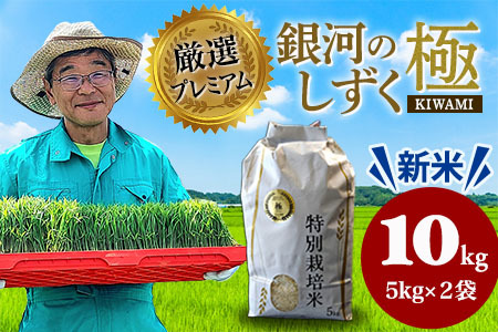 [ふるなび限定・期間限定]新米 10kg 銀河のしずく 厳選プレミアム 極 米 FN-Limited-SP[2320]