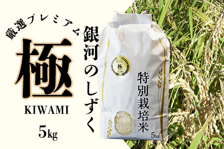 yߘa7NYz͂̂ Iv~A@Ɂikiwami) 5kgy2228z