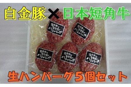 白金豚 × 日本短角牛の生ハンバーグ 5個入 [347]