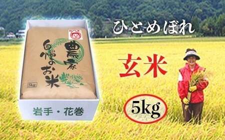 減農薬栽培 岩手花巻産ひとめぼれ玄米5kg [509]