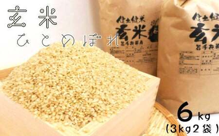 岩手県花巻産「健土健米」玄米(3kg×2袋) [797]