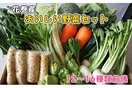 花巻産おいしい野菜セット 12〜16種類前後 詰合せ お楽しみ [876]