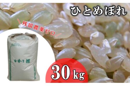 2023年産 玄米ひとめぼれ 「残留農薬0の米」 紙袋詰め30kg [1004]