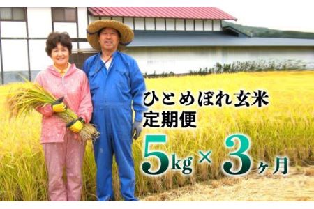≪令和5年産 新米≫[3ヶ月定期便]減農薬栽培 ひとめぼれ 玄米 5kg [1108]