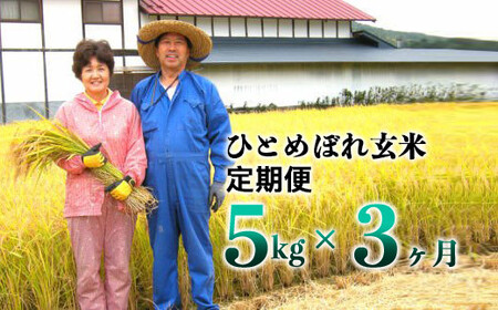 [3ヶ月定期便]減農薬栽培 ひとめぼれ玄米5kg[1108]