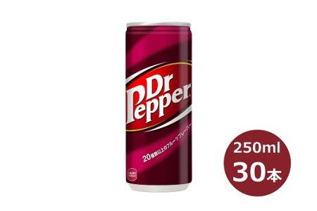 ドクターペッパー  250ml缶×30本 【1190】