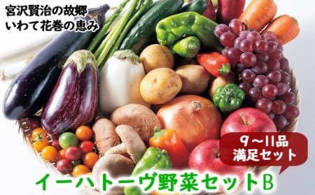 イーハトーヴ野菜B 満足セット 9〜11品 詰め合わせ [1203]