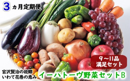 [定期便3ヶ月コース] イーハトーヴ野菜B 満足セット 9〜11品 詰め合わせ [1204]