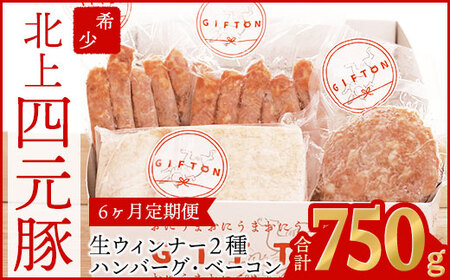 [定期便6ヶ月]GIFTON 岩手県産四元豚 グルメセット A 750g [1229]