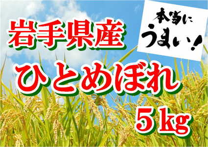 yߘa7NYz茧Y ЂƂ߂ڂ 5kg y1291z