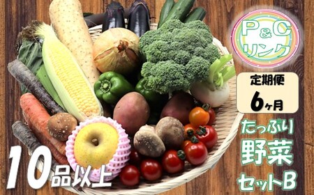 [6ヶ月定期便] たっぷり 野菜セット B 10品 以上 (P&Cリンク)