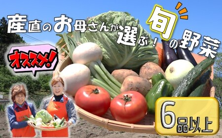 旬の 野菜セット A [ 6品 以上 ] (くろいわ産直) 野菜 やさい 詰め合わせ 旬の 詰合わせ セット 山菜 サンサイ さんさい 常備 常備 家庭応援 新鮮 産直 産地直売所 地域応援 北上産 岩手県産 くろいわ 黒岩 岩手県 北上市 B0381 