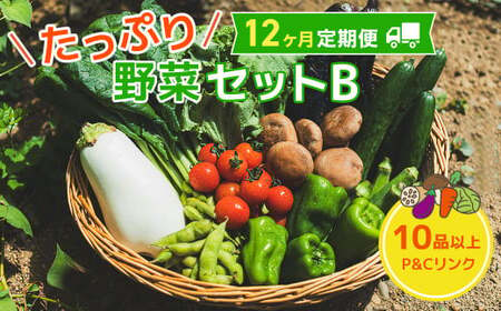 [12ヶ月 定期便 ]たっぷり 野菜セット B 10品 以上 季節 旬 野菜 詰合せ 春 夏野菜 秋 きのこ 葉物 果物 果菜 根菜 冷蔵 室 ダイエット 食 栄養食 加工品 カット野菜 岩手県産 北上産 季節限定 稀少 数量限定 山菜 ブロッコリー たまねぎ さつまいも とうもろこし サラダ トマト しいたけ アスパラガス 岩手県 北上市 M0072 P&Cリンク