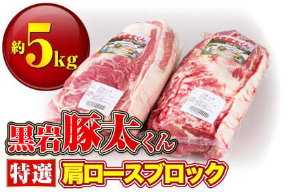 豚肉 肩ロース ブロック 約 5kg 黒岩豚太 くん (くろいわ産地直売所)冷蔵 ロース ブロック肉 2.5kg × 2 とんかつ ステーキ トンテキ