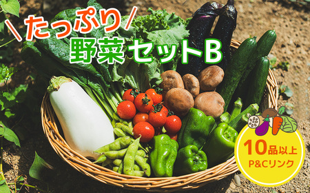 たっぷり 野菜セットB 10品 以上 季節 旬 野菜 詰め合わせ 春 夏野菜 秋 きのこ 葉物 果物 果菜 根菜 冷蔵 室 ダイエット 食 栄養食 加工品 カット野菜 岩手県産 北上産 季節限定 稀少 数量限定 山菜 ブロッコリー たまねぎ さつまいも とうもろこし サラダ トマト しいたけ アスパラガス 岩手県 北上市 C0502 P&Cリンク