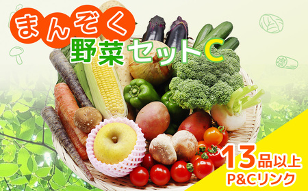 まんぞく野菜セットC 13品 以上 季節 旬 野菜 詰め合わせ 春 夏野菜 秋 きのこ 葉物 果物 果菜 根菜 冷蔵 室 ダイエット 食 栄養食 加工品 カット野菜 岩手県産 北上産 季節限定 稀少 数量限定 山菜 ブロッコリー たまねぎ さつまいも とうもろこし サラダ トマト しいたけ アスパラガス 岩手県 北上市 E0228 P&Cリンク