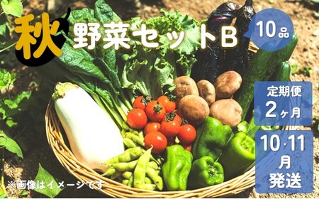 [予約受付/2025年10・11月発送]秋 野菜セット B[ 2ヶ月 定期便 ] 10品 以上 季節 旬 秋野菜 岩手県 北上市 E0220-01 きのこ 葉物 果菜 根菜 冷蔵 室 ダイエット 食 栄養食 加工品 岩手県産 北上産 季節限定 稀少 数量限定 瓜 じゃが芋 里芋 長芋 大根 キャベツ ピーマン カリフラワー ブロッコリー 白菜 長ネギ ほうれん草 小松菜 レタス リーフレタス ししとう かぶ 玉ねぎ P&Cリンク