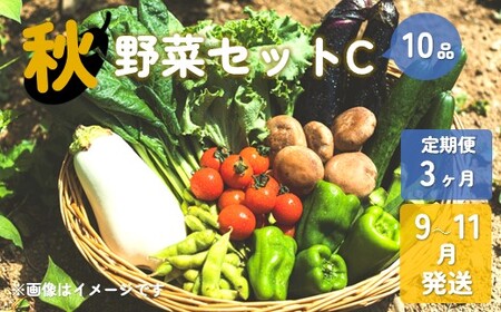 [予約受付/2025年9月発送開始]秋 野菜セットC 10品 以上 [3ヶ月定期便] 季節 旬 秋野菜 きのこ 葉物 根菜 冷蔵 室 ダイエット 食 栄養食 加工品 岩手県産 北上産 季節限定 稀少 数量限定 瓜 じゃが芋 里芋 長芋 大根 キャベツ ピーマン カリフラワー ブロッコリー 白菜 長ネギ ほうれん草 小松菜 リーフ レタス ししとう かぶ 玉ねぎ しょうが しいたけ P&Cリンク