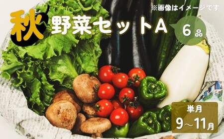 [予約受付/2025年9月発送開始]秋 野菜セット A 6品 以上 季節 旬 秋野菜 きのこ 葉物 果菜 根菜 冷蔵 室 ダイエット 食 栄養食 加工品 岩手県産 北上産 季節限定 稀少 数量限定 瓜 じゃが芋 里芋 長芋 大根 キャベツ ピーマン カリフラワー ブロッコリー 白菜 長ネギ ほうれん草 小松菜 山東菜 レタス リーフレタス ししとう かぶ 玉ねぎ しょうが P&Cリンク