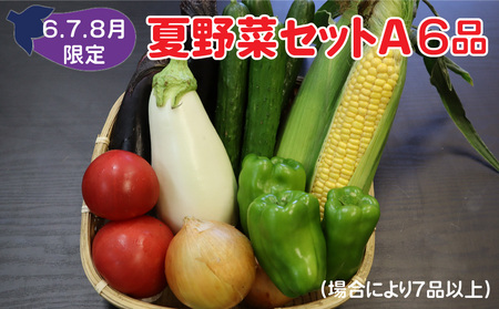 [予約受付/2025年6月発送開始]夏野菜セットA 6品 以上 季節 旬 夏 野菜 葉物 果菜 根菜 冷蔵 野菜室 ダイエット 食 栄養食 加工品 岩手県産 北上産 季節限定 稀少 数量限定 とうもろこし ヤングコーン ブロッコリー レタス ズッキーニ ケール ブルーベリー きゅうり ミニ トマト ピーマン 玉ねぎ 大根 インゲン オクラ つるむらさき 枝豆 モロヘイヤ ししとう なす P&Cリンク