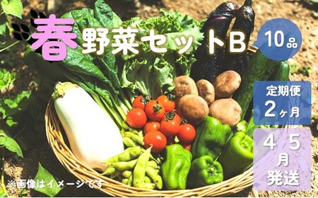 [予約受付/2025年4・5月発送]春野菜セットB 10品 以上[ 2ヶ月 定期便 ] 季節 旬 春 野菜 詰め合せ 国産 おまかせ 定期 産地直送 葉物 根菜 冷蔵 岩手県産 北上産 季節限定 タラの芽 うど うるい アスパラガス 人参 菜花 つぼみ菜 ほうれん草 小松菜 チンゲン菜 長ねぎ レタス リーフレタス 水菜 ブロッコリー きゅうり ベビーリーフ 送料無料 岩手県 北上市 E0218 P&Cリンク