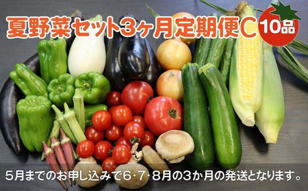 夏野菜セット C 10品 以上[ 3ヶ月 定期便 ※予約受付/ 2025年 6月発送開始] 季節 旬 野菜 詰合せ 岩手県 北上市 H0134 果菜 根菜 冷蔵 ダイエット 国産 季節限定 稀少 数量限定 とうもろこし ヤングコーン ブロッコリー レタス ズッキーニ ケール ブルーベリー きゅうり トマト ピーマン 玉ねぎ 大根 インゲン オクラ 枝豆 モロヘイヤ なす P&Cリンク