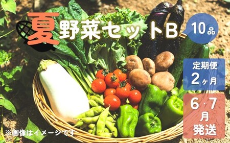 [予約受付/2025年産]夏野菜セットB 10品 以上[ 2ヶ月 定期便 / 6・7月発送 ] 季節 旬 夏 野菜 岩手県 北上市 E0219-01 葉物 果菜 根菜 冷蔵 野菜室 ダイエット 食 栄養食 加工品 岩手県産 北上 季節限定 稀少 数量限定 とうもろこし ヤングコーン ブロッコリー レタス ズッキーニ ケール ブルーベリー きゅうり ミニ トマト ピーマン 玉ねぎ 大根 インゲン オクラ つるむらさき 枝豆 モロヘイヤ なす P&Cリンク