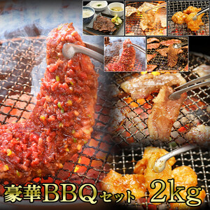 BBQセット 2kg(K30-004)牛ハラミ 牛カルビ 豚カルビ ホルモン たれ タレ 詰合せ 岩手県 北上市 H0079 (KYフーズ)牛肉 BBQ 焼肉セット 牛肉 焼肉 