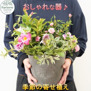 花屋が贈る季節の寄せ植え鉢 花 プレゼント 岩手県 北上市 C0230 ( パルテール ) 花 観賞用 アレンジ プレゼント ギフト 誕生日 お祝い クリスマス 卒業 入学 バレンタインデー ホワイトデー 贈答 母の日 父の日 敬老の日 感謝 退院 快気祝い プロポーズ ご褒美 生花 季節の 赤 白 黄色 ピンク オレンジ 青 紫 寄せ植え 鉢植え ガーデニング 庭 玄関 リビング 部屋 客間 オフィス 開店祝い 周年 退職 就職祝い 還暦 成人 記念日 